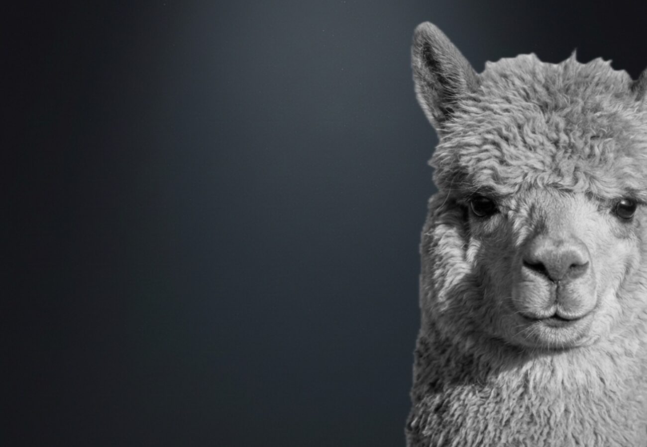 Latest | San Francisco Agency - Marketing & PR for Global Growth